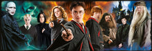 Charger l'image dans la galerie, Harry Potter - Panorama 1000 pièces