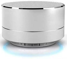 Charger l'image dans la galerie, Reekin Marlin Haut-parleur Bluetooth avec kit main-libre inclusCâble chargeur USB