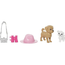 Charger l'image dans la galerie, MATTEL Coffret poupées Stacie et Barbie 2 poupées
